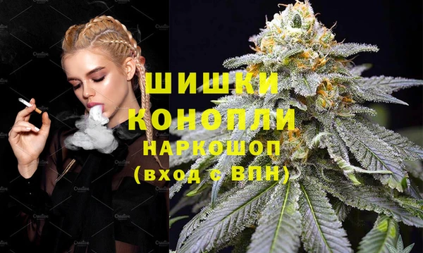 мдпв Болохово
