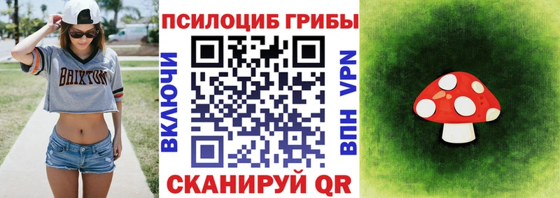 Псилоцибиновые грибы мицелий  Нерчинск 