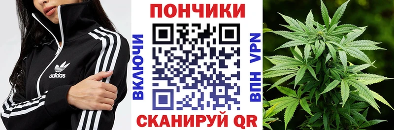 kraken ONION  что такое   Нерчинск  Бошки Шишки план 